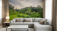 Bali Rice Terraces rural farm peel and stick wallpaper.