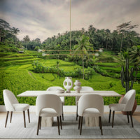 Bali Rice Terraces coconut palm tree wallpaper for walls.