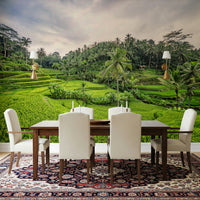 Bali Rice Terraces tiered field wallpaper for walls.