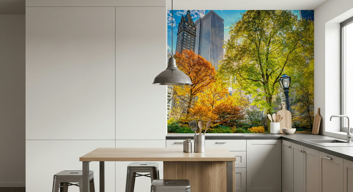 Central Park in Fall Colors Wall Mural