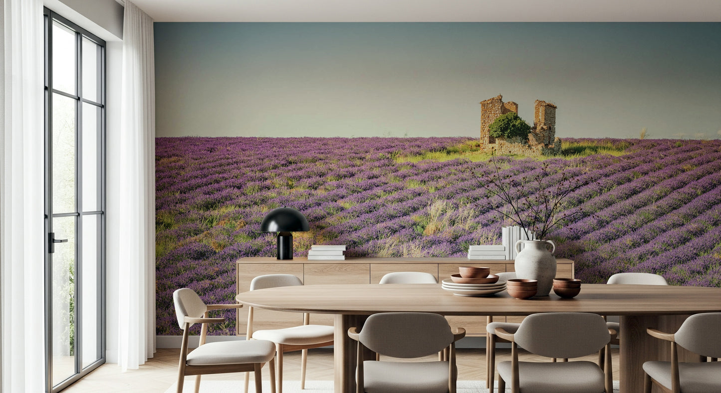 Lavender Field Sunset Wall Mural