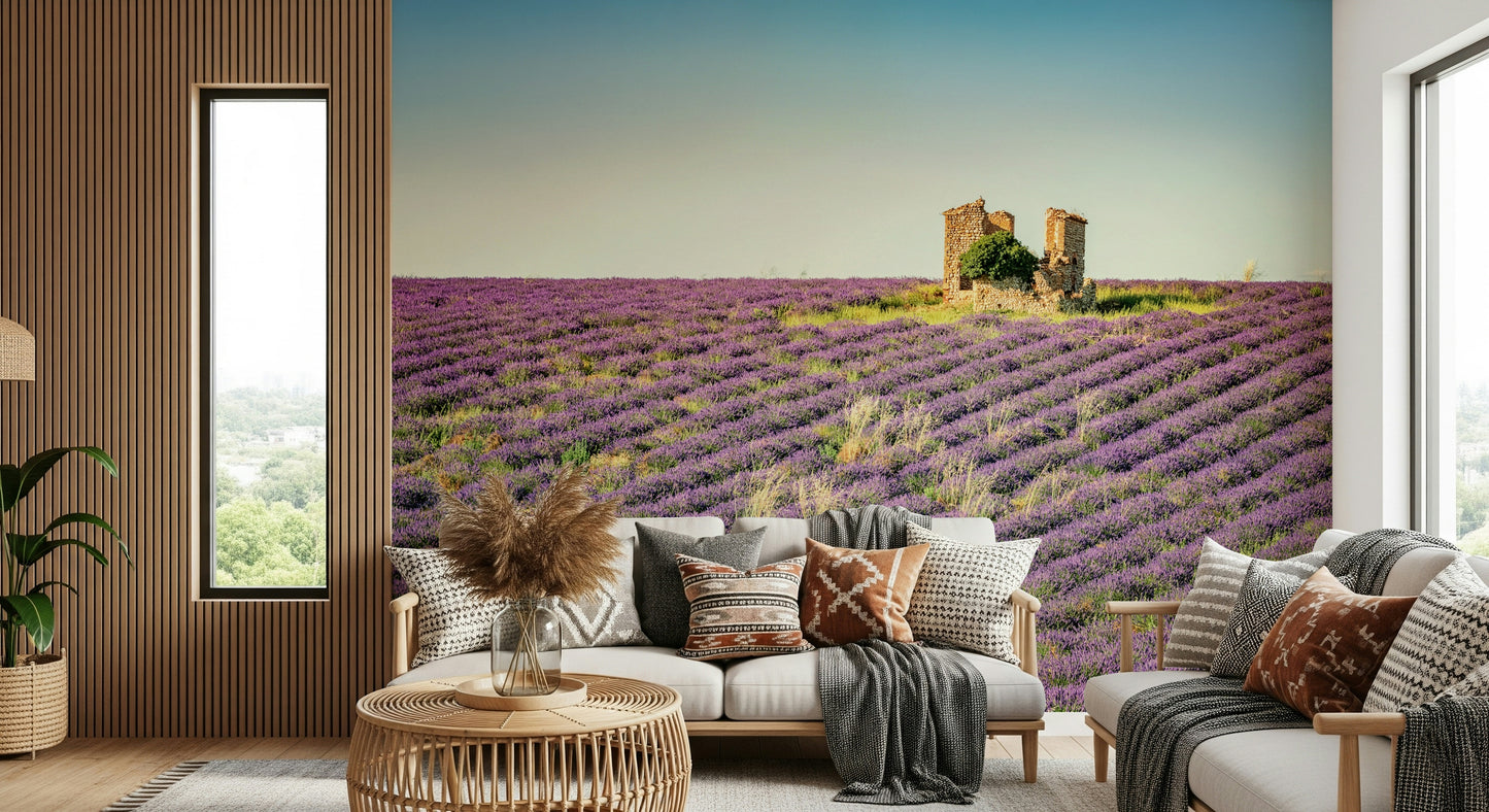 Lavender Field Sunset Wall Mural