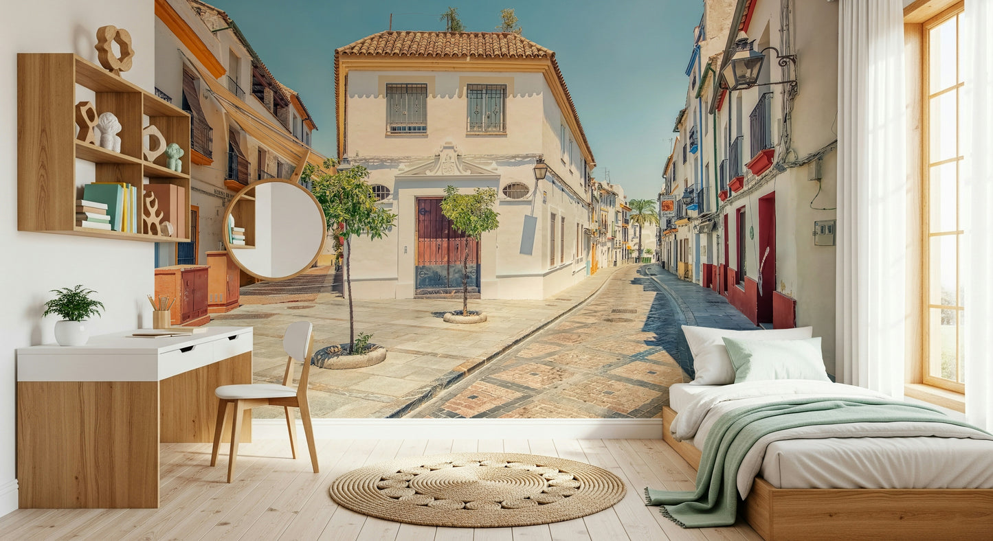 Spanish Street Charm Wall Mural