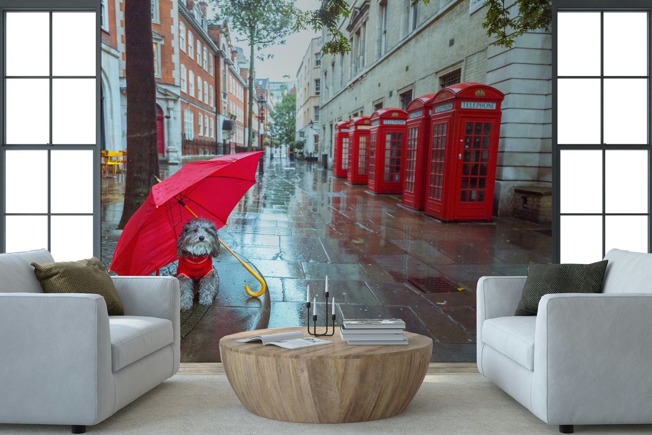 Rainy Day Pup Wall Mural