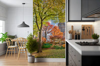 Autumn park wallpaper showing colourful trees in a calm living room 