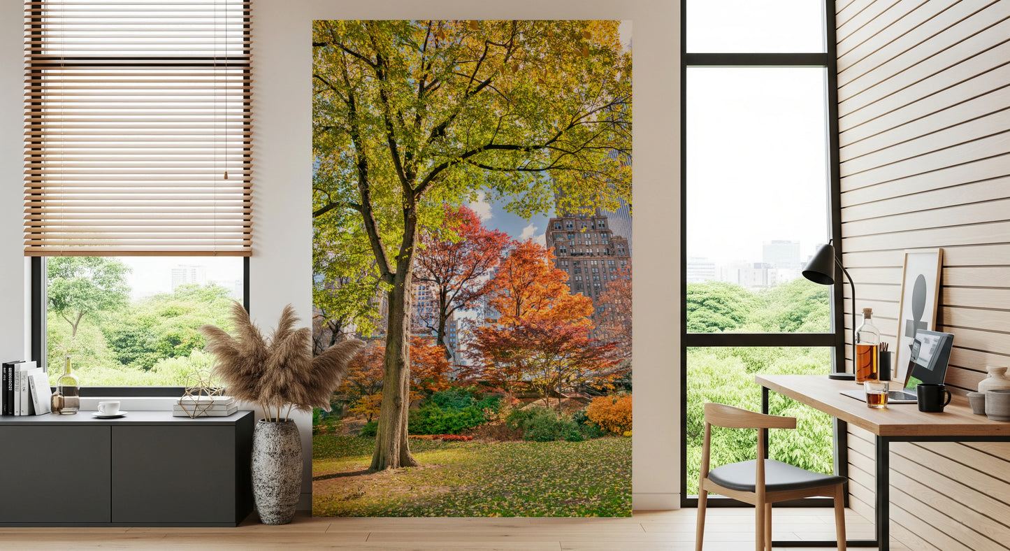 Park scene wall mural with green and orange leaves for a peaceful room
