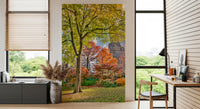 Park scene wall mural with green and orange leaves for a peaceful room