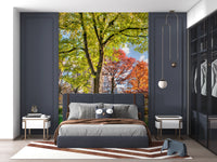 Urban park wall mural with sunlight, trees and skyline for home wall decor