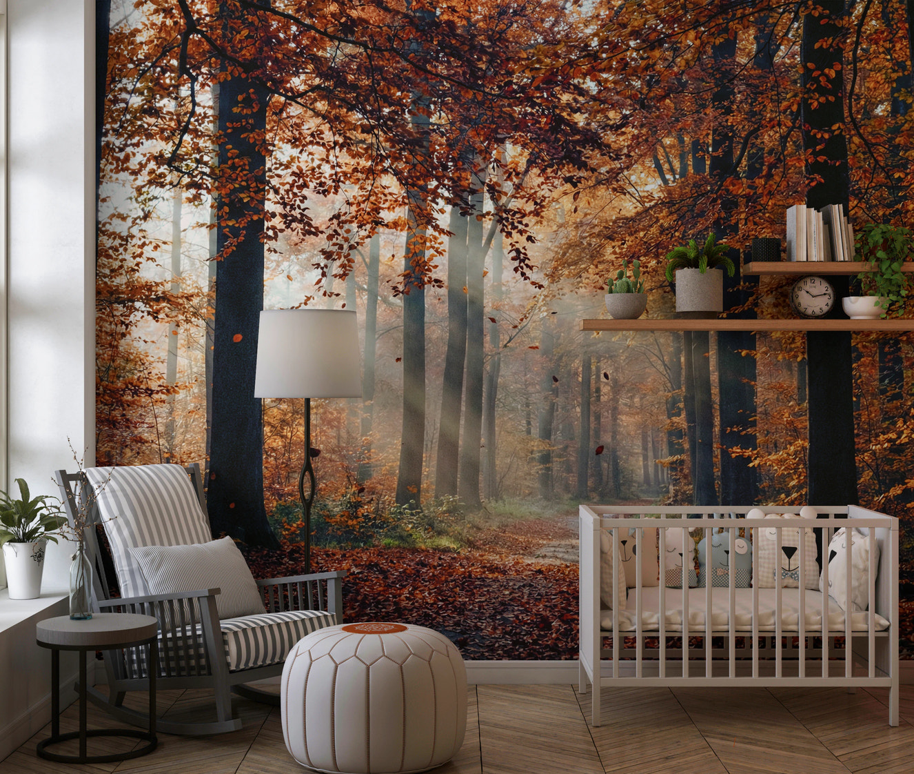 Autumn's Light Wall Mural with sun rays in a forest.