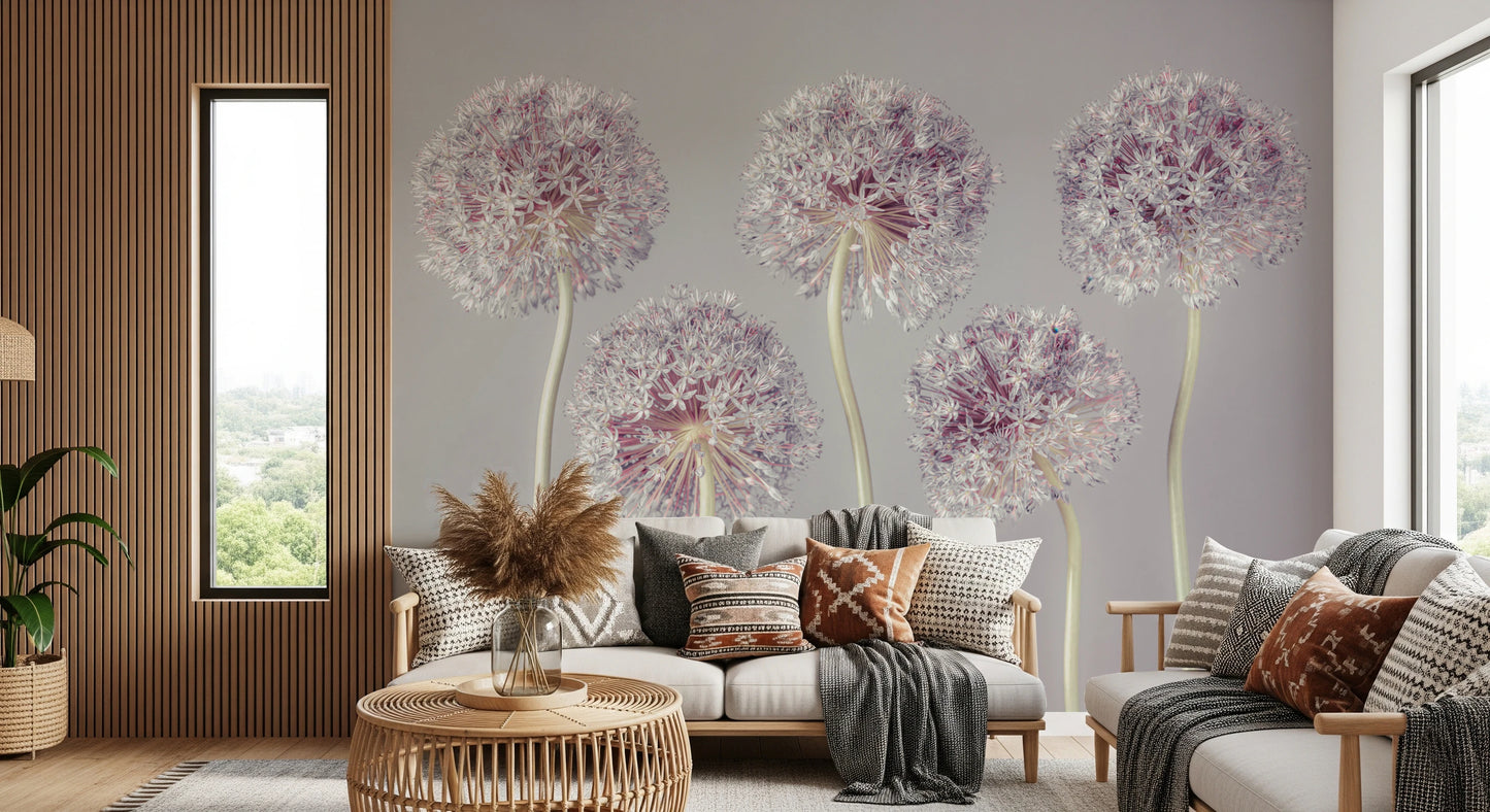 Allium Dreams Wall Mural