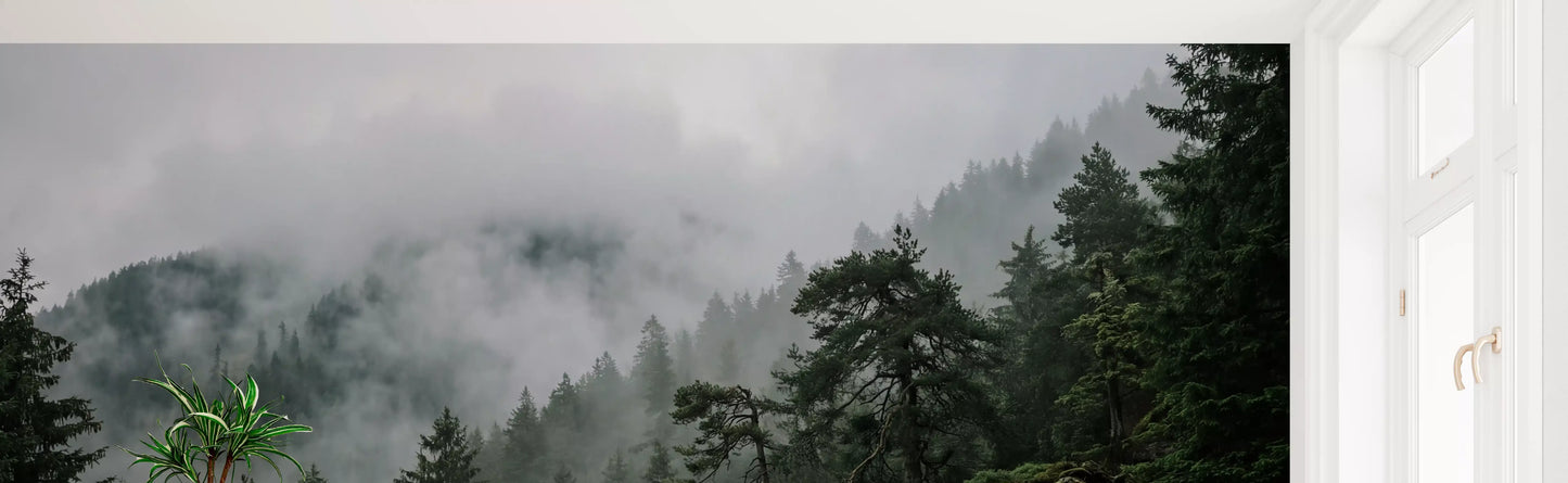 Misty Forest  Wall Mural