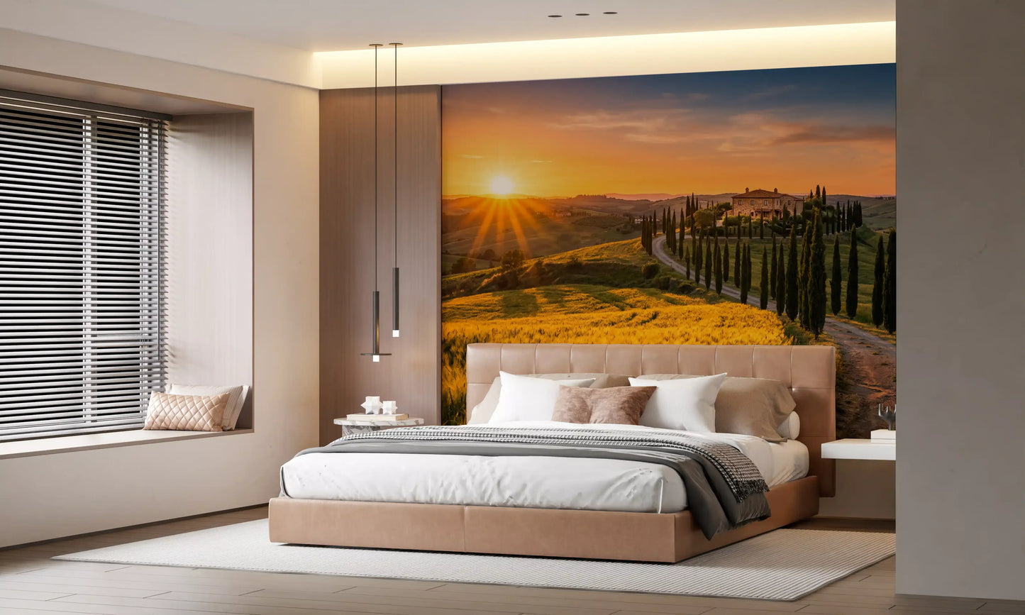 Tuscan Golden Hour: Cypress Path Wall Mural