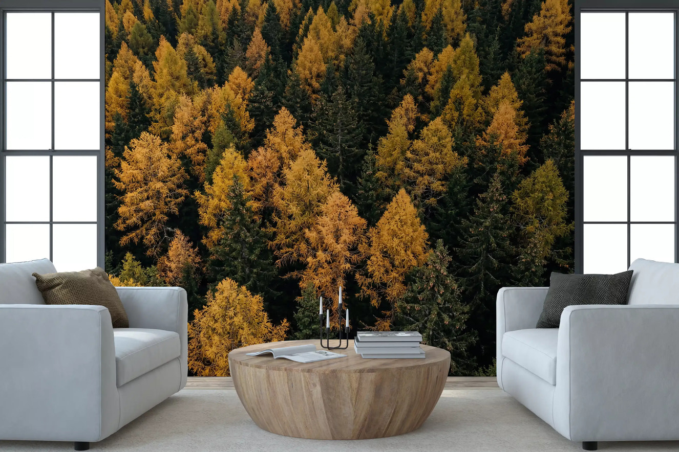 Hallway design using Autumnal Woods Symphony wall mural woodland view