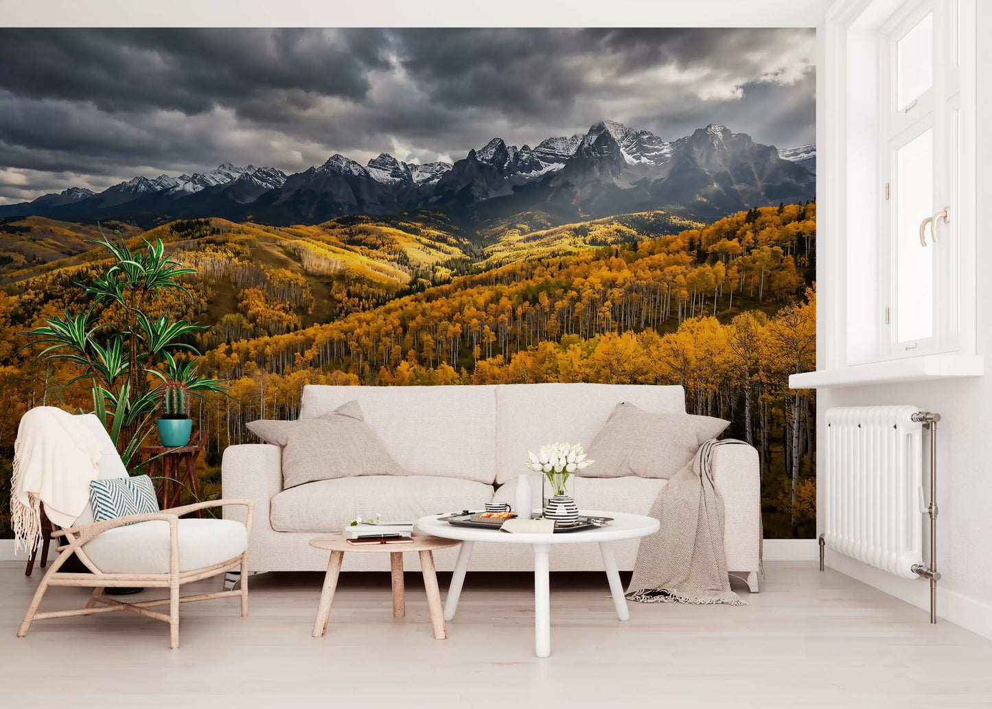 Aspen trunks line the foreground of this autumn golden embrace wall mural.
