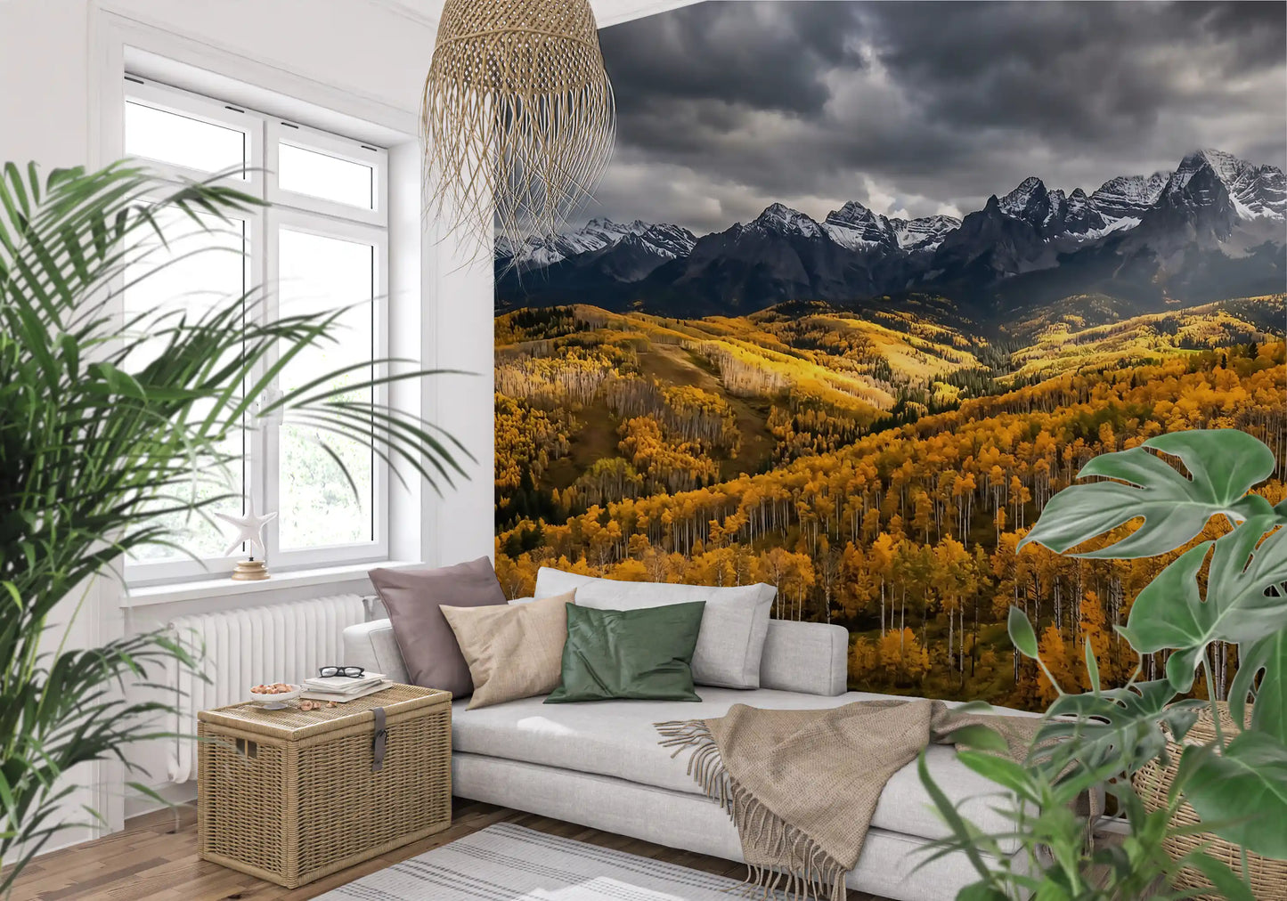 Light beams break through the clouds across this autumn aspen wall mural.