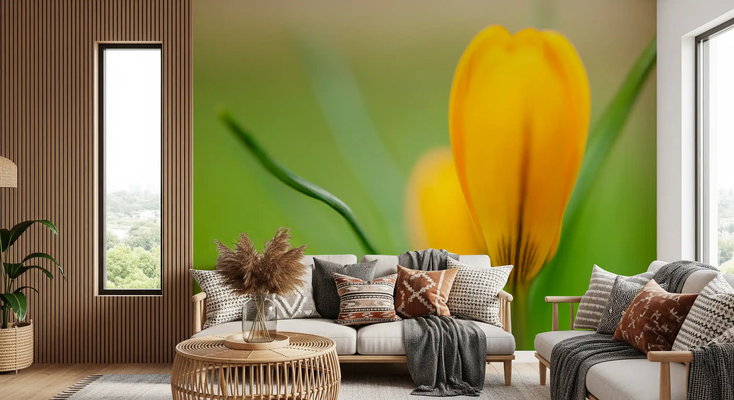 Yellow and green tones in the Golden Crocus wall mural