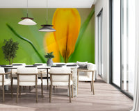 Spring crocus bloom in the Serenity wall mural with golden petals