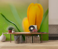 Spring yellow crocus wall mural installed in an hallway space