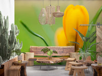 Golden Crocus Serenity wall mural showing a yellow bud on green