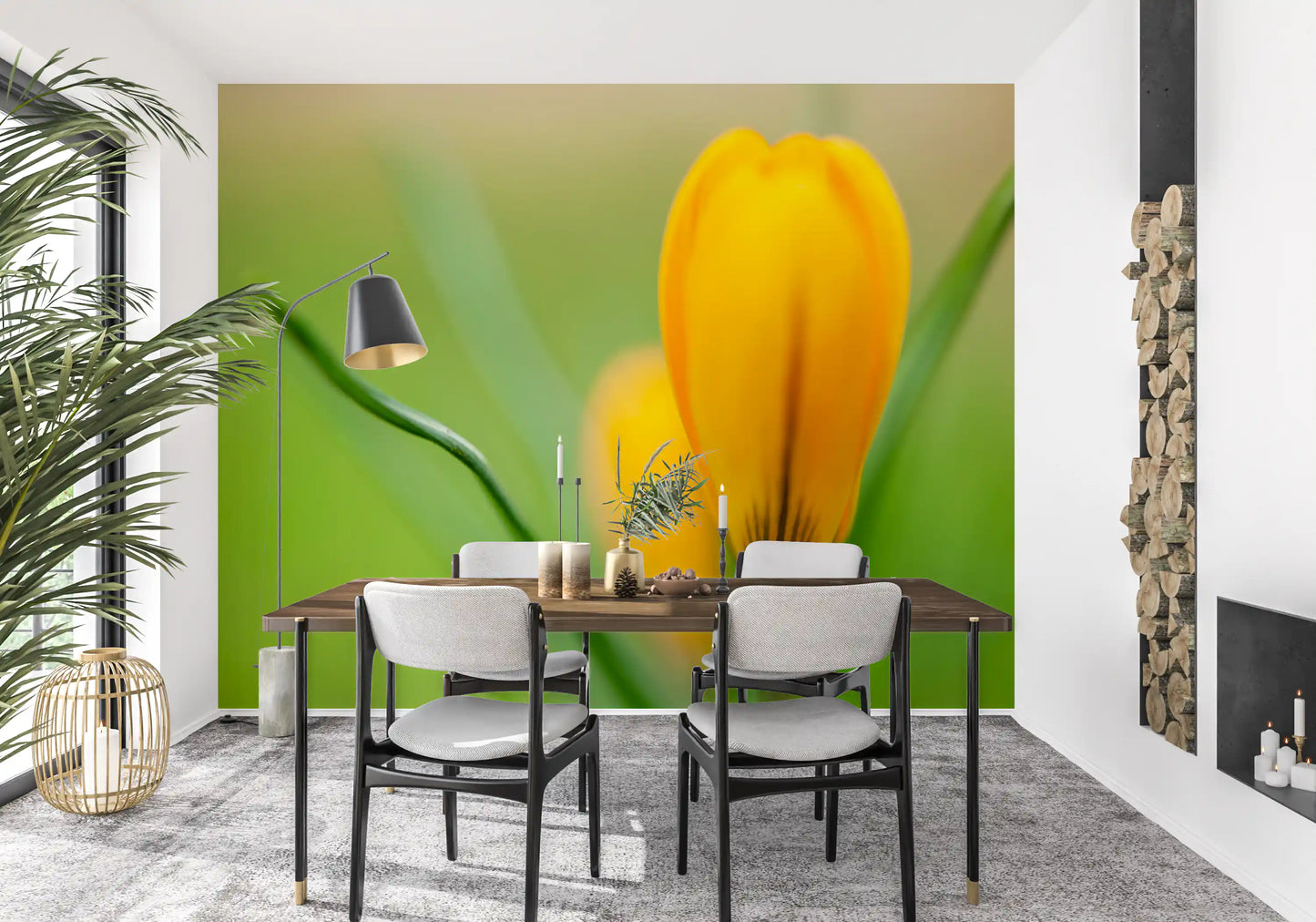 Yellow crocus wall mural displayed in a dining room setting