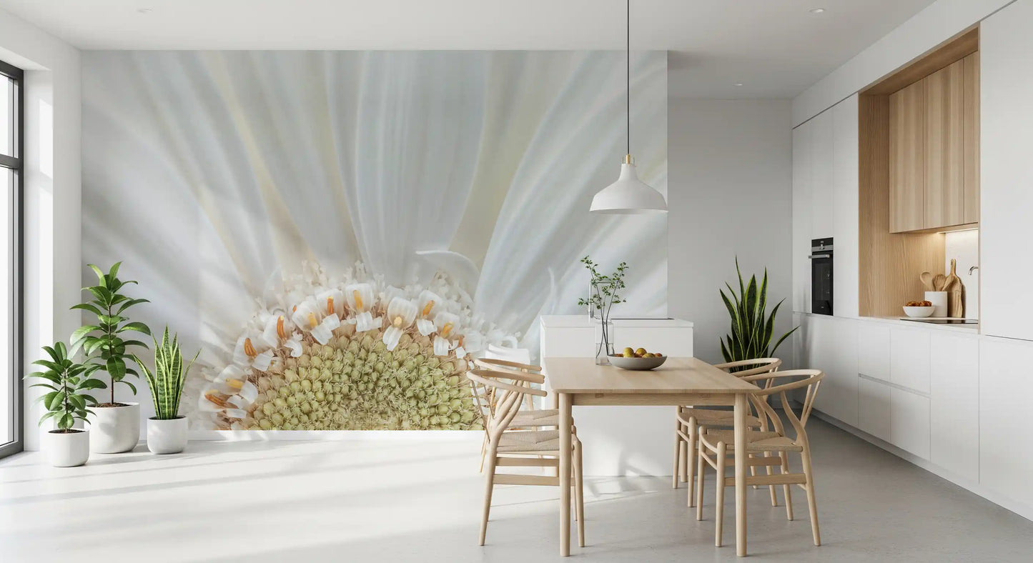 Golden stamen centre and cream petals in white petal radiance wall mural