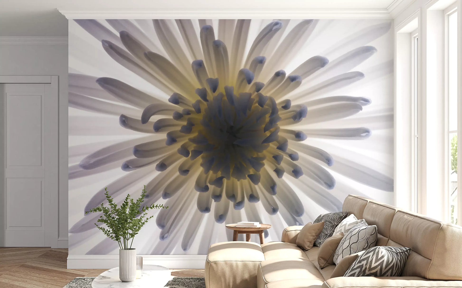 White petals spike outward from this luminous wall mural macro center.