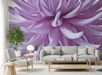 Luminous lilac bloom wall mural shimmers across a living room with vibrant petals.