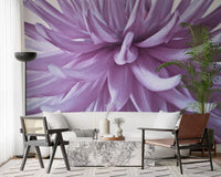 Living room gleams with this luminous lilac bloom wall mural close-up.