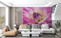 Vibrant dahlia blossom wall mural, pink petals around a creamy yellow heart.