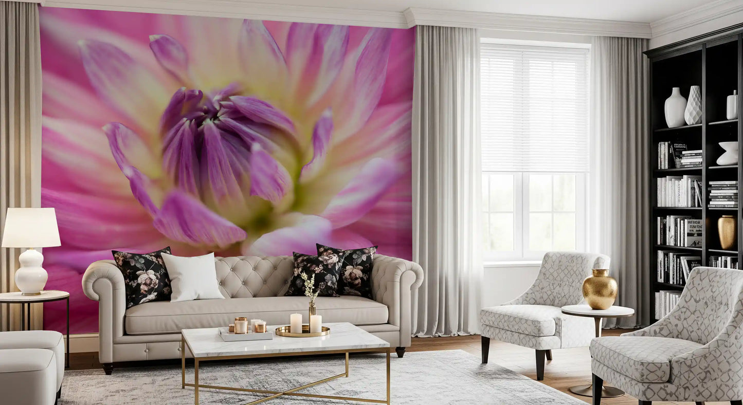 Buttery yellow tones center this vibrant pink dahlia blossom wall mural close-up.