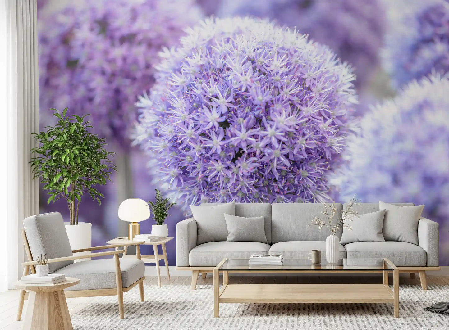 Lavender allium spheres bloom large against blurred purple bokeh in this wall mural.
