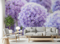 Lavender allium spheres bloom large against blurred purple bokeh in this wall mural.