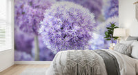 With crisp focus on the foreground orb, the wider field fades back in this wall mural.