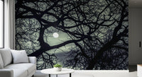 Midnight Branches wall mural in a Living room setting, moonlit and moody, GD9749