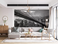 Wide-angle bridge and river city wall mural in deep monochrome