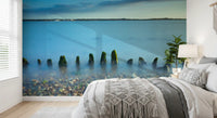 Ethereal Coastline landscape Wall Mural