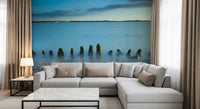 Ethereal Coastline landscape Wall Mural