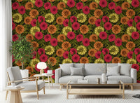 Dark background dahlia garden wallpaper with vibrant orange and pink blooms., GD9814