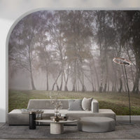 Monochrome nature print with grove trees for living room wall mural.