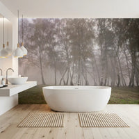 Misty Birch Grove Wall Mural featuring a soft winter forest for bathroom.