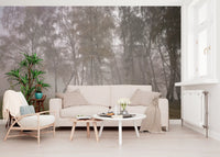 Misty Birch Grove Wall Mural with slender tree trunks print.