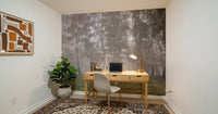 Vertical birch trees in a thick fog for study room wall mural theme.
