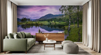 Green grass and silver birch trees reflecting in water wall mural.