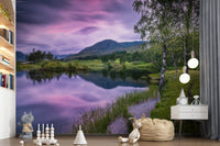 Silver birch trees along a lake shore wall mural for kids playroom.