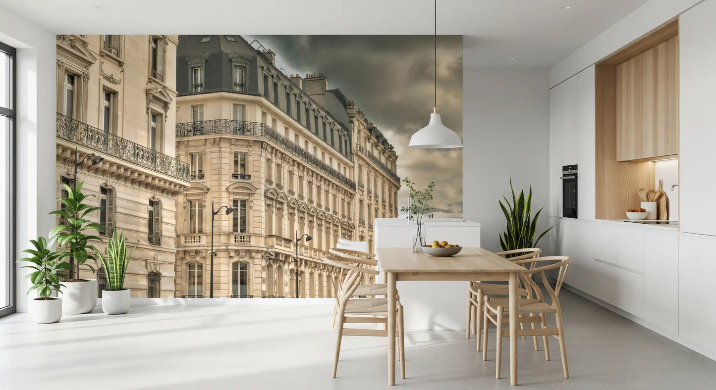 Historic Parisian wall mural for dining rooms with classical French architecture.