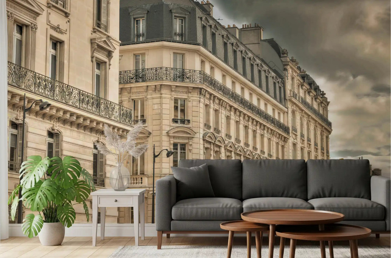 Beige facades and charcoal mansard roofs on this Parisian wall mural for living room.