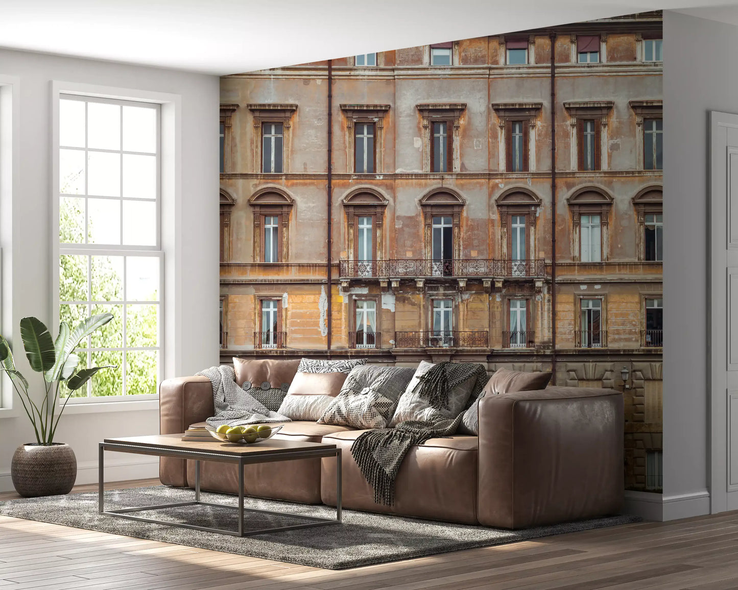 European Grandeur Facade Wall Mural