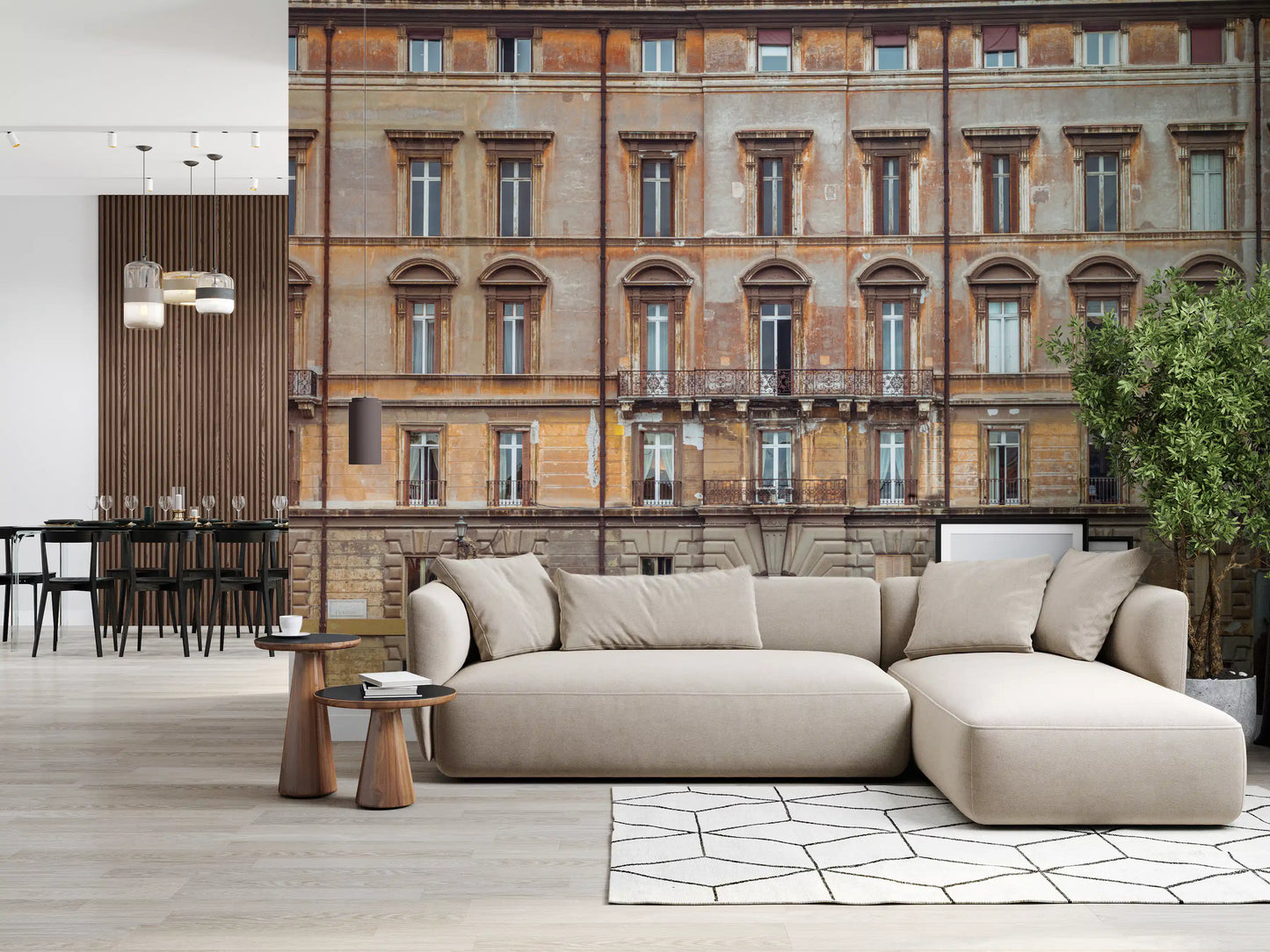 European Grandeur Facade Wall Mural