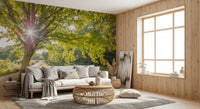 Lush green oak tree beside a calm canal water body wall mural for a hallway, GD9861