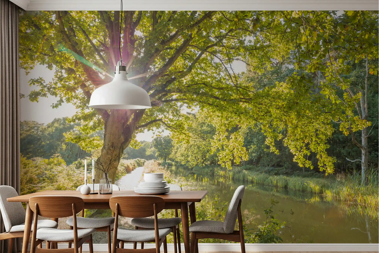 Sunlit Woodland Canal Wall Mural with green trees for a dining room interior.
